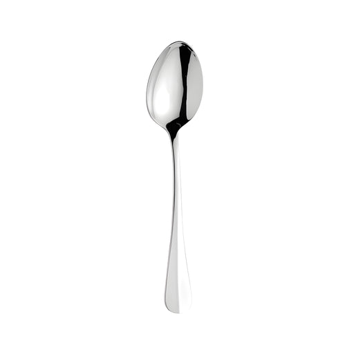Baguette Serving Spoon