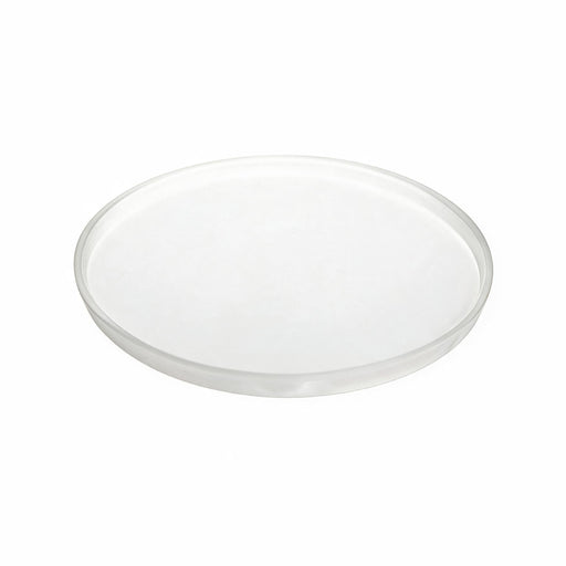 White Round Flat Plate Large