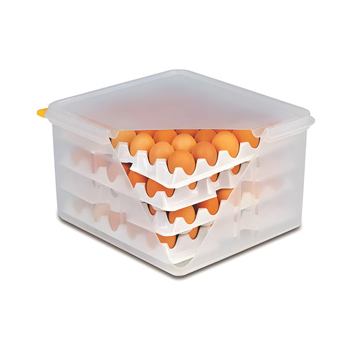 Eggs Box, with Lid and 8 Trays