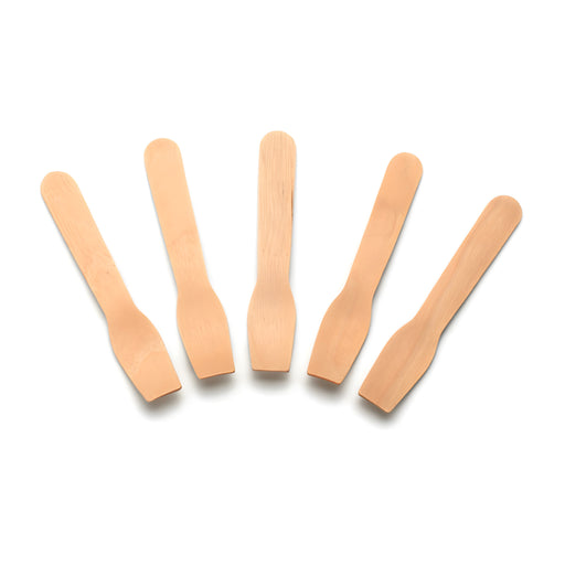 Birchwood Ice Cream Spoon