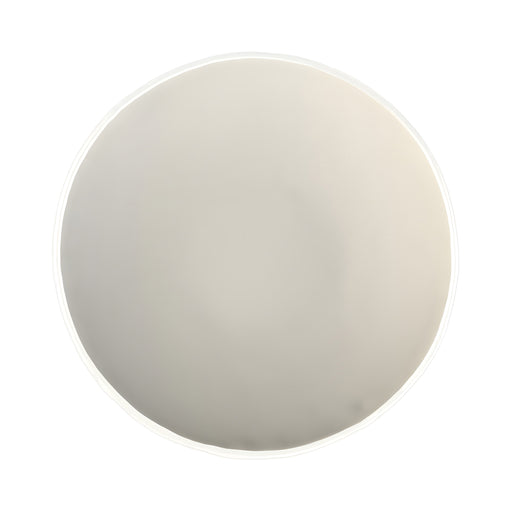 Coupe Plate, Birch White