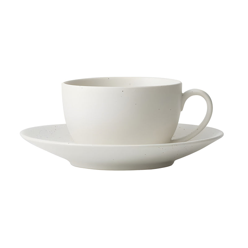 Dune Shell Cup Small